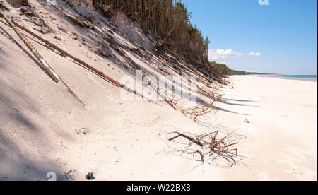 Les arbres morts sur le sable dans le Parc National Slowinski, Leba, Pologne, mer Baltique Banque D'Images
