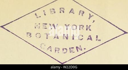 Image d'archive à partir de la page 10 de Cypripedium, Selenipedium & Uropedium Monographie. Cypripedium, Selenipedium & Uropedium. Monographie comprenant la description de toutes les espÃ¨variÃtÃs ces, et hybrides inexistants jusqu'Ã ce jour cypripediumselen00desb Année : Selenipedium INTRODUCTION. Le genre Cypripediuiu aiijourcrhui a conquis la laveur du public, et le nombre de ces plantes a beaucoup augmentÃpar suite des semis que tonne en a faits depuis vingt ans, à telle enseigne que l'on a quelque peine à se retrouver au milieu des espÃ¨ces et de leurs variÃtÃs difficultÃexiste this ; surtout pour ceux Banque D'Images