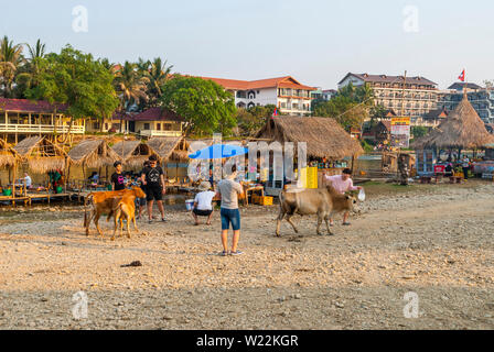 Vang Vieng, Laos - Dec 2016 : Bar au-dessus de la rivière et les vaches qui passent. Site touristique très commune à Vang Vieng, Laos Banque D'Images