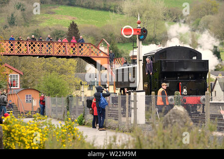 RÉSERVOIR DE VALISE de classe 1500 DE LA GWR n° 1501 à Buckfastleigh lors du gala anniversaire du South Devon Railway en 50th. 13.04.2019. Banque D'Images