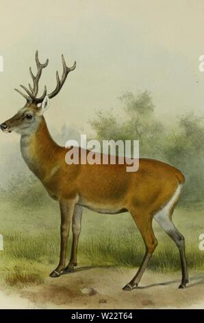 Image d'archive à partir de la page 109 de la deer de tous les pays ; Banque D'Images