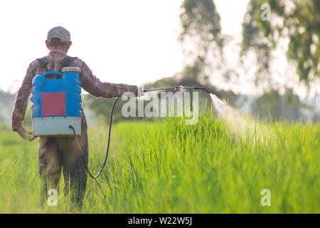 Pesticide pulvérisation Banque D'Images