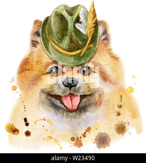 Joli Chien. T-shirt chien graphiques. aquarelle illustration spitz pomeranian Banque D'Images