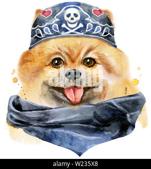 Joli Chien. T-shirt chien graphiques. aquarelle illustration spitz pomeranian Banque D'Images