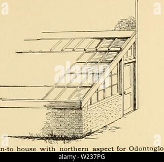 Image d'archive à partir de la page 142 de la Cyclopaedia of American horticulture . Cyclopedia of American horticulture : comprenant des suggestions pour la culture de plantes horticoles, les descriptions des espèces de fruits, légumes, fleurs et plantes ornementales vendues aux États-Unis et au Canada, ainsi que des notes biographiques et géographiques cyclopediaofame03bail Année : 1906 ORCHID 1165 ioned méthode de l'eau chaude sous la circulation naturelle sera trouvé mieux, en utilisant le règlement S-inch pipe, exécuter la planification s'écoule le long de l'arrière sous les avant-toits et re- tourner le long de l'étages 1 Voir Fig. 1571, Banque D'Images