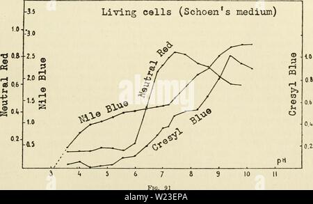 Image d'archive à partir de la page 158 du cytoplasme de l'usine. Le cytoplasme de la cellule végétale cytoplasmofplant00guil Année : 1941 Chapitre XIII -143- coloration vitale minutes, le liquide a été centrifugé, le sédiment examiné sous le microscope et la concentration du colorant dans le liquide mesuré par le colorimètre. Il est donc possible de tracer en termes de la quantité de colorant pU conservé par la levure. Une étude de ces courbes montrent que la limite inférieure de l'ensemble, qui à pU- lation du rouge neutre commence est beaucoup plus bas que 7. C'est à pB. 5.6. Mais à ce stade, la coloration de la vacuole est trop w Banque D'Images