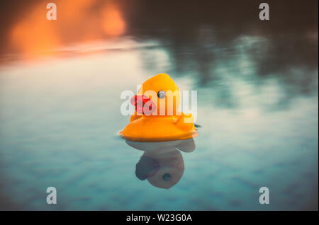 Petit canard en caoutchouc jaune flottant sur une piscine à débordement au coucher du soleil avec des réflexions qui regardent comme il pourrait être sur un lac d'ombre de l'arbre de réflexions. Banque D'Images
