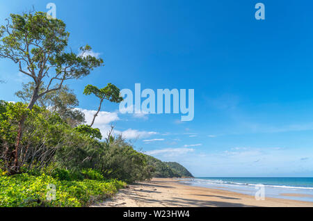 Plage à Cow Bay, la forêt tropicale de Daintree, parc national de Daintree, Queensland, Australie Banque D'Images