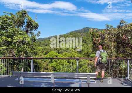 Visiteur à la recherche à vue à partir du haut de la plate-forme Canopy Tower, Centre de découverte, la forêt tropicale de Daintree, parc national de Daintree, Queensland, Australie Banque D'Images