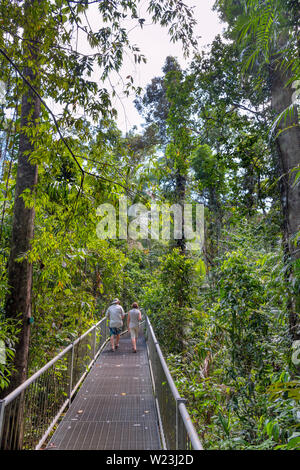 Les visiteurs sur la promenade dans le centre de découverte, la forêt tropicale de Daintree, parc national de Daintree, Queensland, Australie Banque D'Images