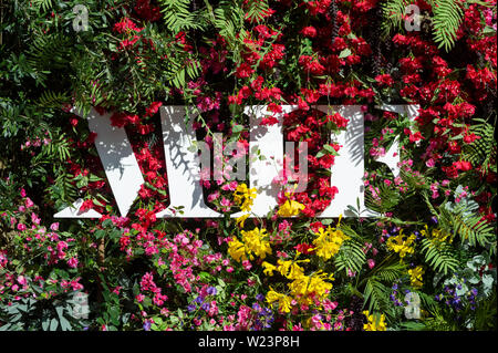 Manchester, UK. 5 juillet 2019. Le jour de l'ouverture de Festival Square, où Manchester Square Albert est transformé en un lieu central de la musique gratuitement au cours de la Manchester International Festival 2019. C'est la 7ème fois la biennale international arts festival a eu lieu depuis sa création est 2007 © Russell Hart/Alamy Live News. Banque D'Images