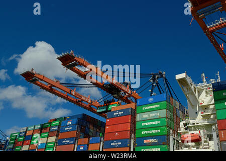 Port de Rotterdam, HOLLAND ZUID/Pays-Bas - septembre 07, 2018 : le porte-conteneurs thalassa niki (imo 9665645) Chargement et déchargement de marchandises, à l'ue de liq. Banque D'Images