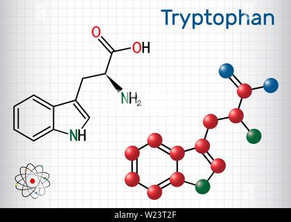 Le tryptophane, acide aminé W Trp ou molécule, est utilisé dans la biosynthèse des protéines. Formule chimique structurale et molécule modèle. Vector illustration Illustration de Vecteur