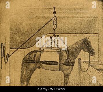Image d'archive à partir de la page 186 de la das pferdebuch amerikanischen des agriculteurs. Das pferdebuch des agriculteurs amerikanischen daspferdebuchdes00hoff Année : 1917 Ãolmfjeit ItrfacOen, c)re 93itnb elctnblung. nod)cn6rÃ¼d)c (fractures). 177 rÃ¼cf633Gtnl)c fommcn rtirf Anders Ferbe Beim)t feiten bor unb finb fel)r fd)lt)terig ju {)eilen ; je tmf)er ber rud) einem (Seiene befto ifl, fd)lDie =- rtger bie Teilung ift. 2)ie Âdtoiertgfeit BegrÃ¼nbet ijt Teilung ber ber dans groÃen§ Ã 2ai be r|3erÂ¶§ ftorfen JcnÂ ?ber,§feIfraft nnb ber ge- ringen 93efQ]igung auf Seinen brei [3U, l'unb teilen infolge beffen finbet leidet ein Banque D'Images
