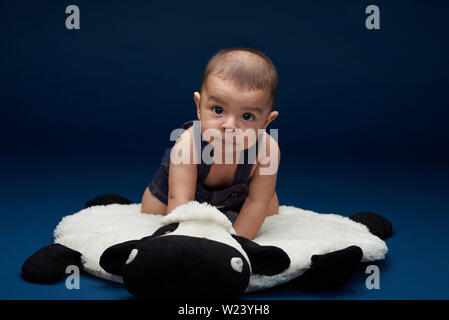 Portrait de nice cute baby boy sitting on pillow blue background studio Banque D'Images