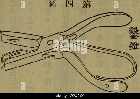 Image d'archive à partir de la page 199 de l'Dbutsugaku zasshi (1889) Banque D'Images