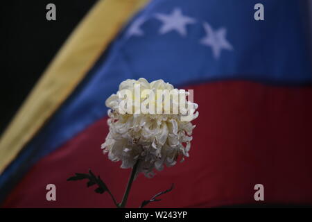 Caracas, Venezuela. 05 juillet, 2019. Une fleur flétrie est tenue en haut devant le drapeau du Venezuela au cours d'une manifestation contre le gouvernement le jour de l'indépendance. Le chef de l'opposition et l'auto-nommé président par intérim Guaido avait demandé à la société civile pour protester contre le gouvernement du chef de l'état Maduro. Le Venezuela commémore le 5 juillet l'indépendance de l'Espagne en 1811. Credit : Rafael Hernandez/dpa/Alamy Live News Banque D'Images