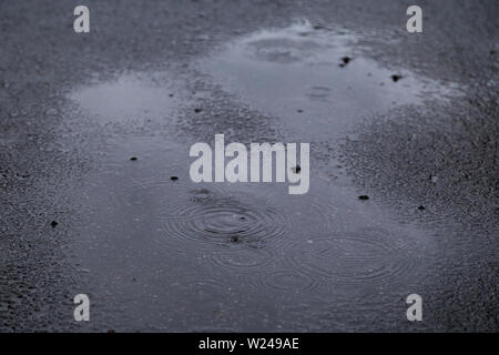 Rides de flaques sur l'asphalte sur un jour de pluie et de gris. Angle incliné, concentré sur l'avant-plan. Banque D'Images