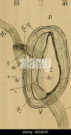 Image d'archive à partir de la page 233 d'Dbutsugaku zasshi (1889) Banque D'Images