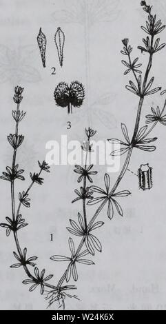 Image d'archive à partir de la page de 1055 da wu zhi shan bie. da shan Wu Zhi Zhi bie dabieshanzhiwuzh00zixi Année : 1040 2006.9 Å¤§ Banque D'Images