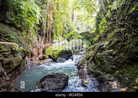 Belle tranquillité stream in Bali Jungle Banque D'Images