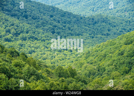 Blue Ridge Mountains vue depuis le Richard B. Russell de la route panoramique dans le nord-est de la Géorgie. (USA) Banque D'Images