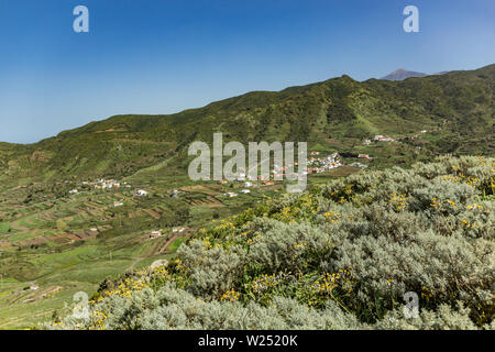 Magnifique paysage de la vallée de El Palmar vert au printemps. Pic de Teide volcan recouvert de neige tout au fond. Ciel bleu clair sous le soleil da Banque D'Images