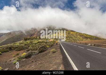 Route moderne, s'étend le long de l'eau de lave et entouré par la végétation de montagne, repose sur les nuages, qui se jettent dans la vallée de la caldera. Nation Banque D'Images