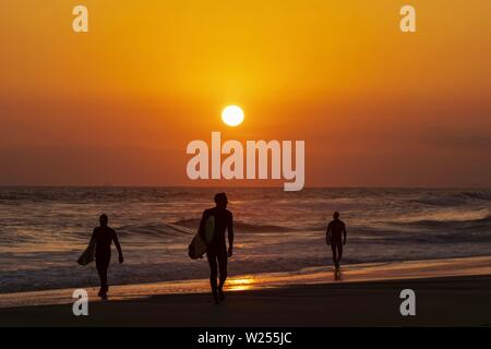 Les surfeurs sur la plage pendant le coucher du soleil Banque D'Images