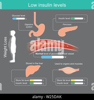 Les niveaux d'insuline bas.La réduction de l'amidon et le sucre ingrédients dans les aliments se traduira par le pancréas sécréter moins d'insuline, le cerveau n'est pas stimuler l'appe Illustration de Vecteur