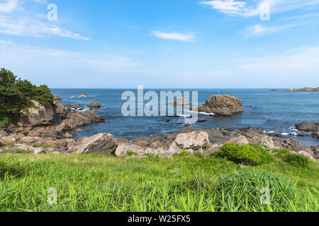 Belle Tanesashi kaigan côte. Le littoral comprend à la fois des plages de sable et de rochers, les prés herbeux et vue panoramique Banque D'Images