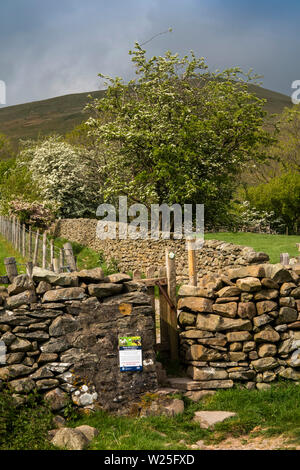 UK, Cumbria, Sedbergh, pierre stile sur Dales High Way chemin menant à Settlebeck Gill Banque D'Images
