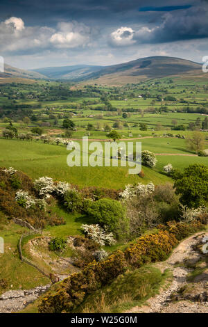 UK, Cumbria, Sedbergh, Settlebeck Gill vue de Dales High Way chemin vers Garsdale Banque D'Images