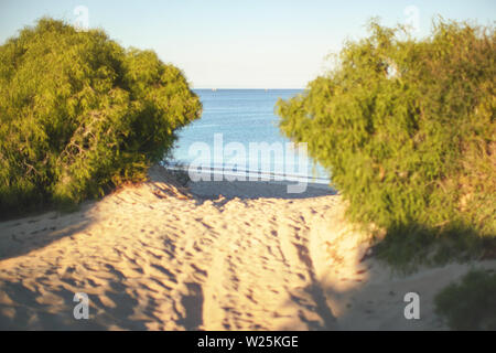 Profondeur de champ photo - seule plage et mer en focus, chemin de sable menant à l'eau, l'après-midi soleil brille à buissons floue des deux côtés Banque D'Images