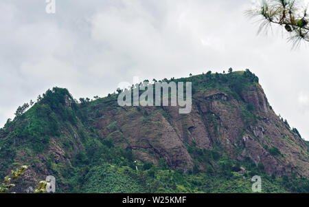 Paysage typique de Madagascar dans la région près de Mandraka jour par temps couvert. Les petites collines de roche montagnes couvertes de végétation et arbres Banque D'Images