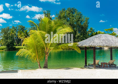 Destination de villégiature tropical à Port Vila, l'île d'Efate, Vanuatu, avec plage et palmiers Banque D'Images