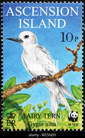 Sterne fée sur timbre-poste de l'île de l'Ascension Banque D'Images