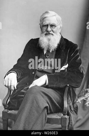 ALFRED RUSSEL WALLACE (1823-1913) Naturaliste anglais, explorateur et biologiste vers 1895 Banque D'Images