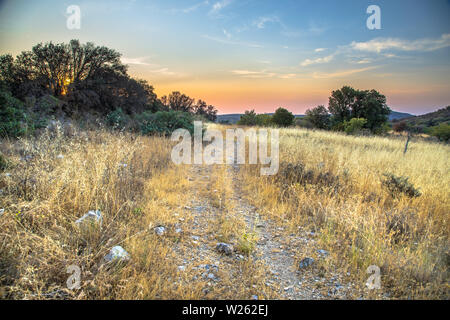 Paysage d'été avec sentier de randonnée rocheuses sur une colline dans le Parc National des Cévennes, dans le sud de la France Banque D'Images