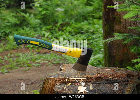 Hache hache coincé dans une pièce de bois, forêt, Québec, Canada Banque D'Images