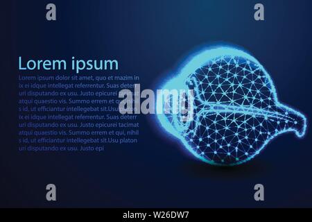Lumière de l'Œil humain. Résumé Poly faible. La conception de fer. Depuis la connexion de dot et ligne. Vector Illustration Illustration de Vecteur