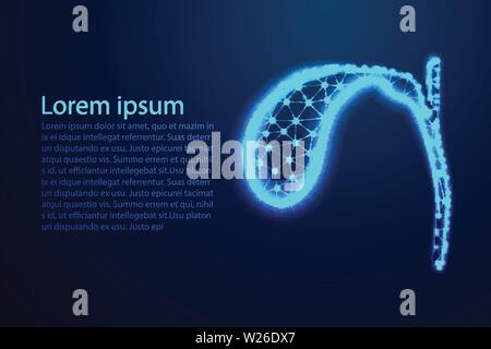 La vésicule biliaire, l'anatomie humaine. Résumé Poly faible. La conception de fer. Depuis la connexion de dot et ligne. Vector Illustration Illustration de Vecteur