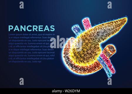 Le pancréas, l'anatomie humaine. Abstract low poly wireframe designs. Depuis la connexion de dot et ligne. Vector Illustration Illustration de Vecteur