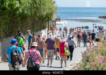 La Côte Jurassique, Lulworth, Dorset, UK. 6 juillet 2019. Des milliers de touristes font leur chemin à la plage de Lulworth Cove et Durdle Door sur la côte jurassique du Dorset. La côte a subi l'érosion de l'énorme nombre de personnes marchant sur la falaises crayeuses. Crédit : Thomas Faull/Alamy Live News Banque D'Images