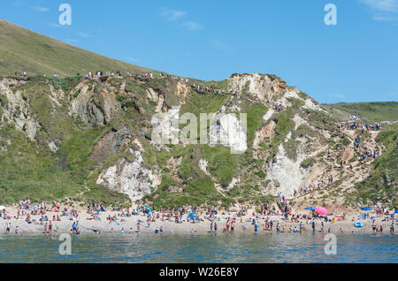 La Côte Jurassique, Lulworth, Dorset, UK. 6 juillet 2019. Des milliers de touristes font leur chemin à la plage de Lulworth Cove et Durdle Door sur la côte jurassique du Dorset. La côte a subi l'érosion de l'énorme nombre de personnes marchant sur la falaises crayeuses. Crédit : Thomas Faull/Alamy Live News Banque D'Images