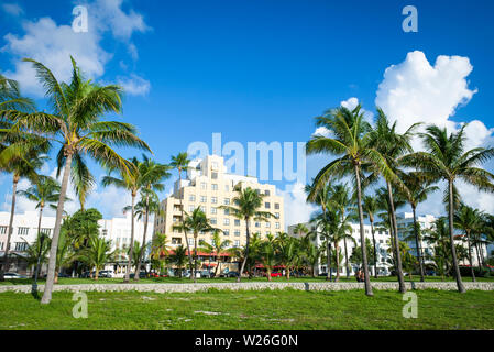 Vue panoramique lumineux de l'horizon du sud de plage avec des palmiers dans un paysage verdoyant à Miami, Floride, USA Banque D'Images