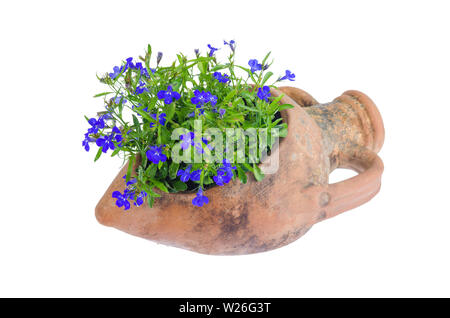 Ancien vase amphore en argile avec des fleurs bleu Banque D'Images