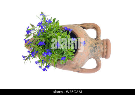 Ancien vase amphore en argile avec des fleurs bleu Banque D'Images