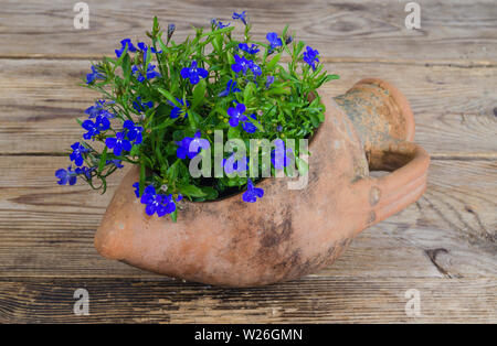 Ancien vase amphore en argile avec des fleurs bleu Banque D'Images