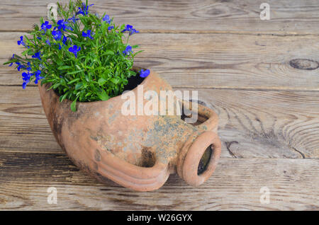 Ancien vase amphore en argile avec des fleurs bleu Banque D'Images